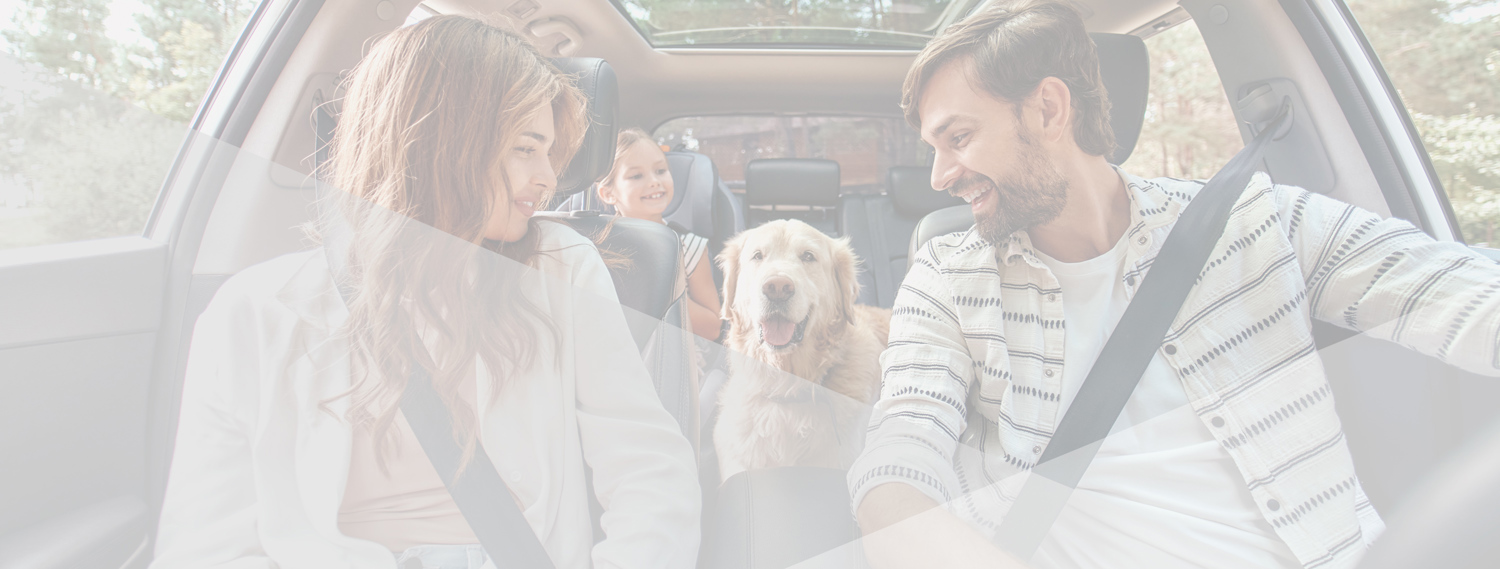 Auto Loans IA Loan Rates Car, Vehicle, Motorcycle Luana Bank