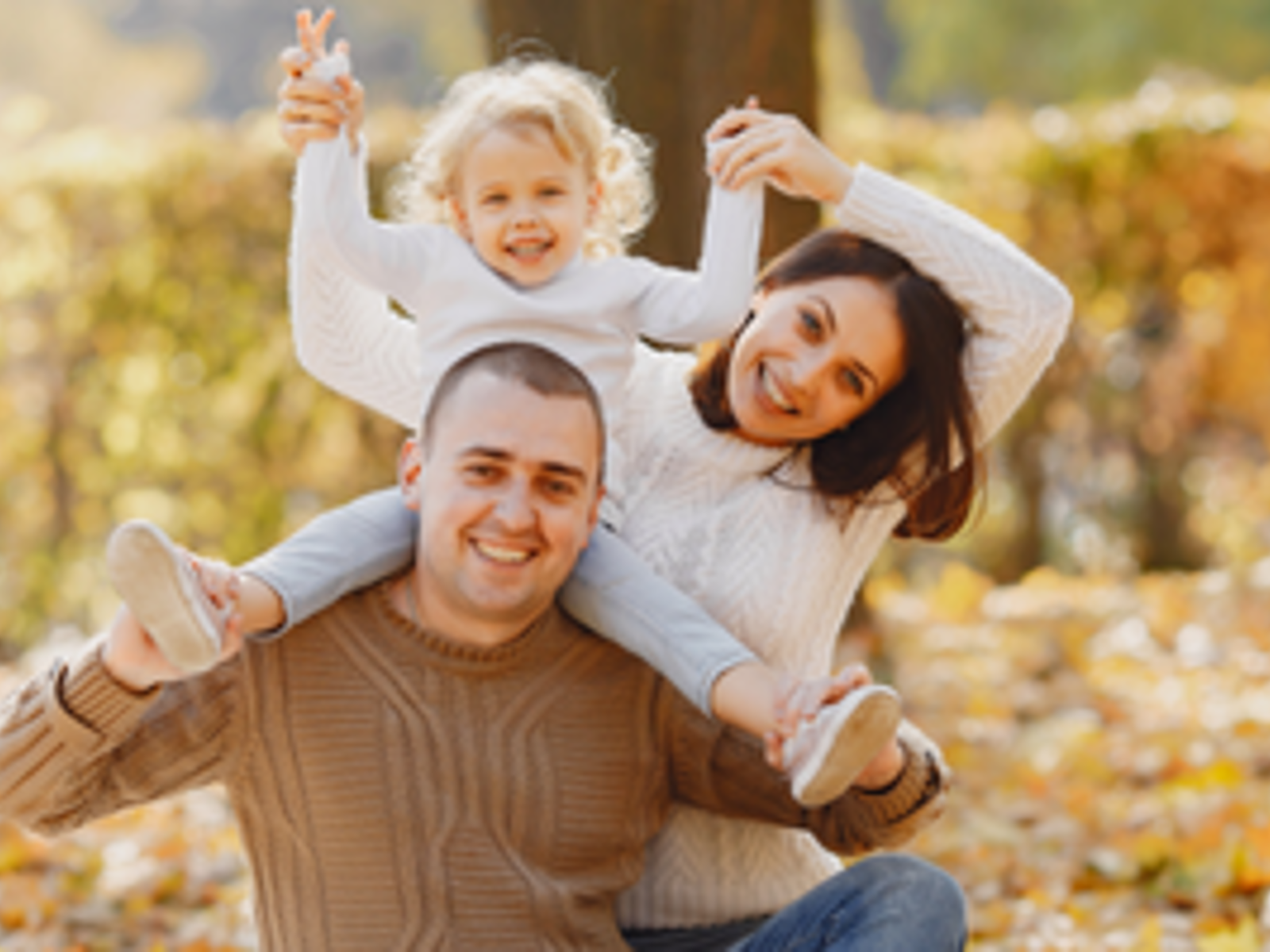 Community Reinvestment Act IA CRA Public File Luana Bank